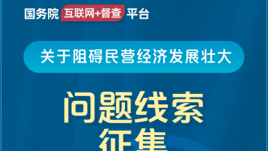 男生鸡鸡插入女生鸡鸡爽的视频下载国务院“互联网+督查”平台公开征集阻碍民营经济发展壮大问题线索